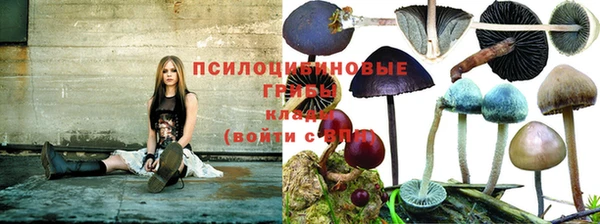 кокс Пересвет